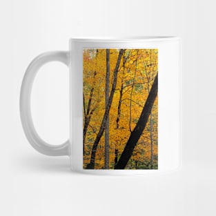 Yellow in the Forest Mug